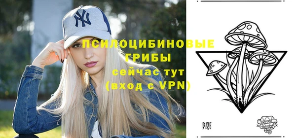 бошки Балахна