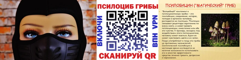 цена   Губаха  Галлюциногенные грибы Magic Shrooms 