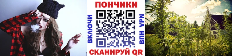 Бошки марихуана план  купить наркоту  Губаха 